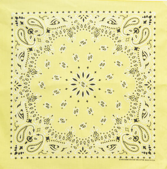 (image for) Bandanna Yellow Paisley 22" x 22"